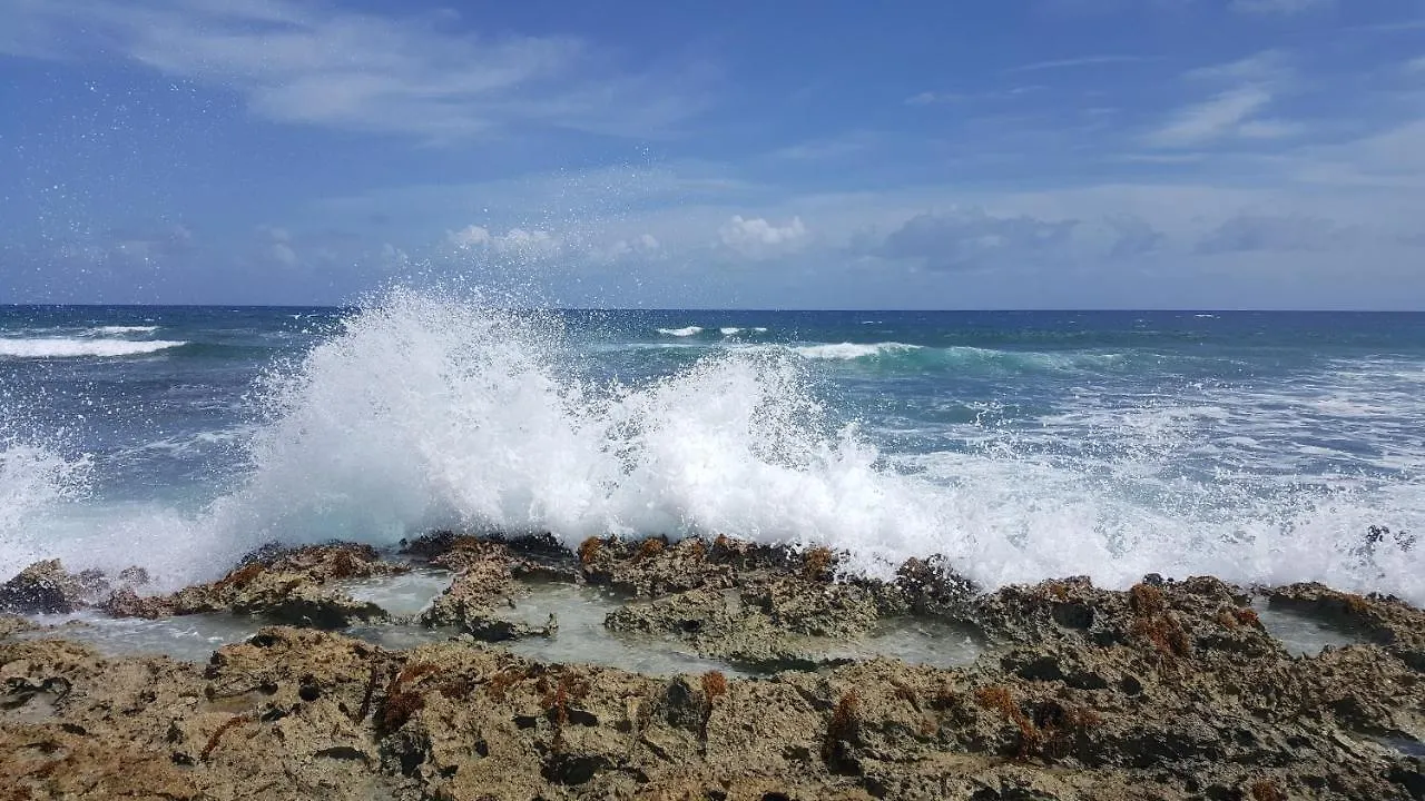Hotel apartamentowy Riviera Maya Luxury Oceanfront Condo Akumal