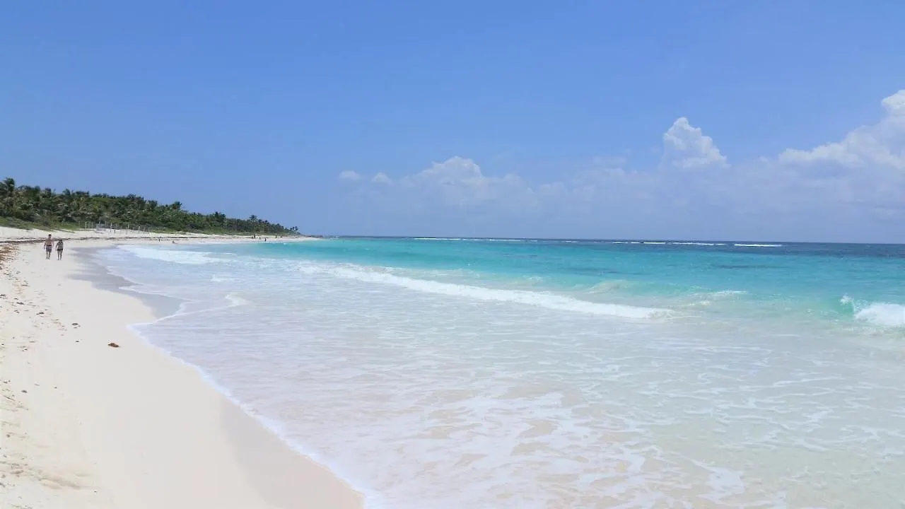 אקומל Riviera Maya Luxury Oceanfront Condo