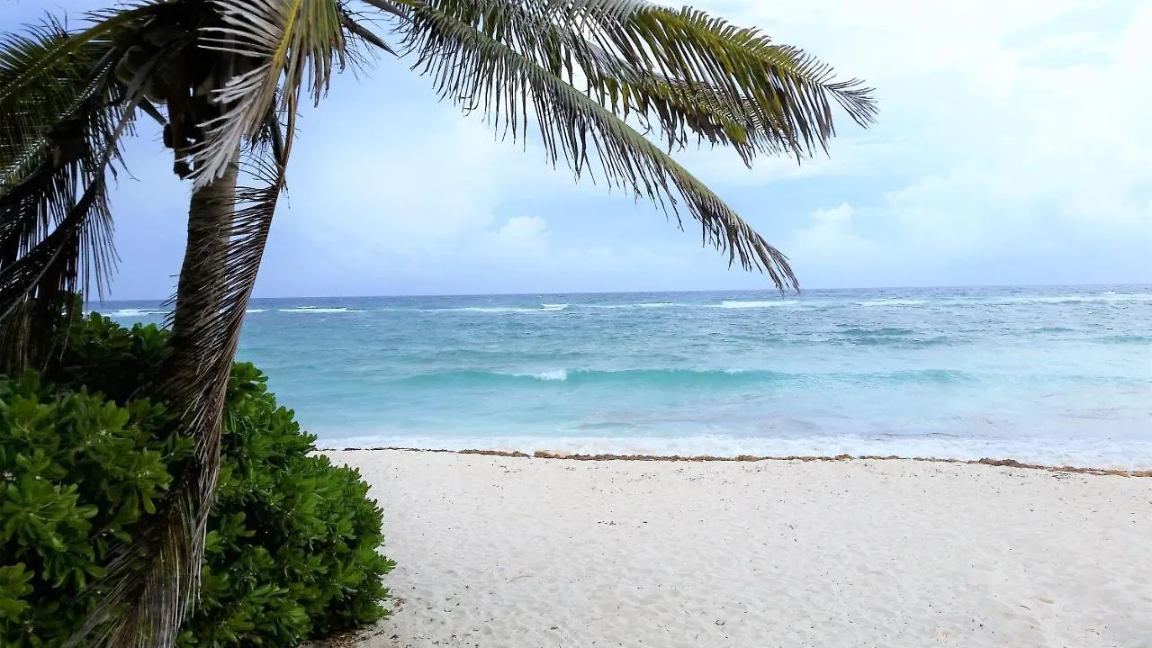 מלון דירות אקומל Riviera Maya Luxury Oceanfront Condo